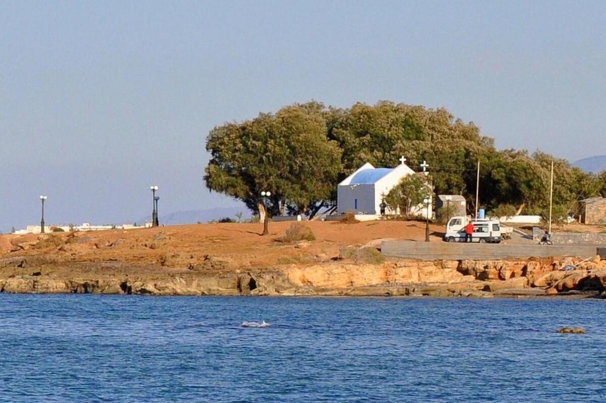 Villa Thalia Gouves Exterior photo